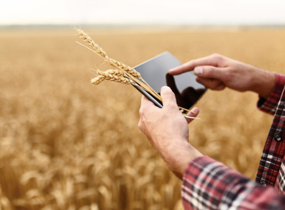 Innovation in the agri-food chain to improve the sustainability of the EU food system